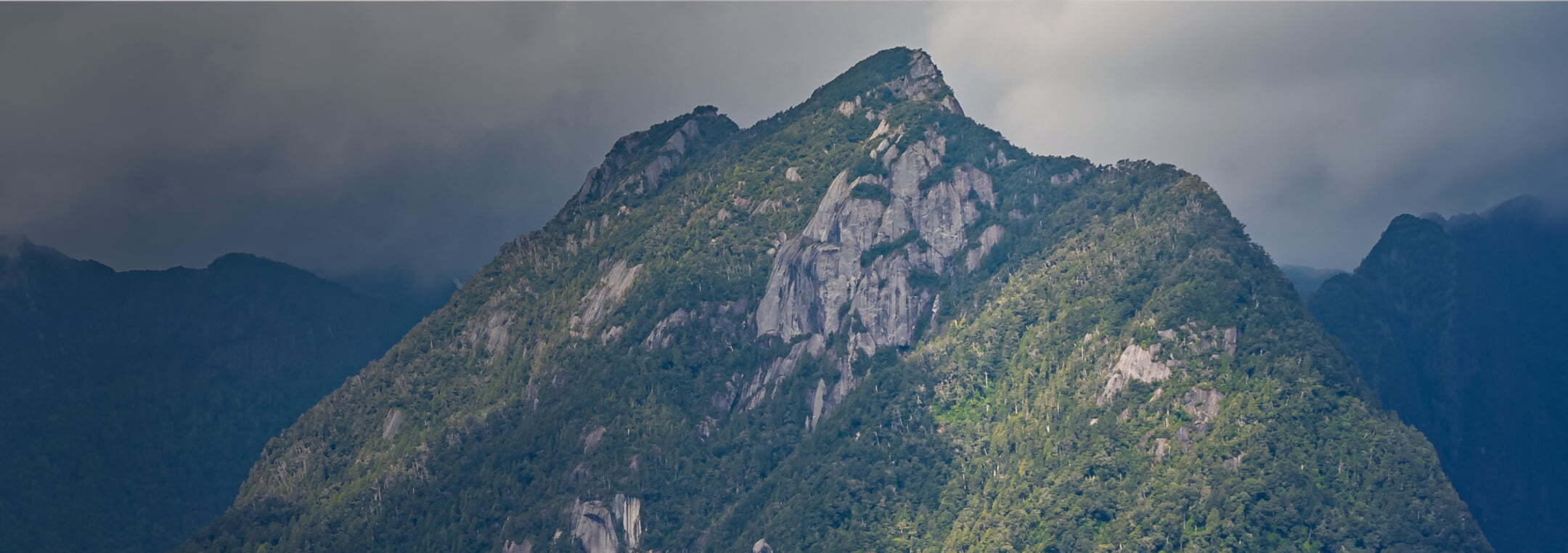 Gobierno Corporativo - Header Desktop